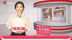 重庆生活频道在线观看,重庆生活频道带你在线领略巴渝风情 第3张 重庆生活频道在线观看,重庆生活频道带你在线领略巴渝风情 第3张